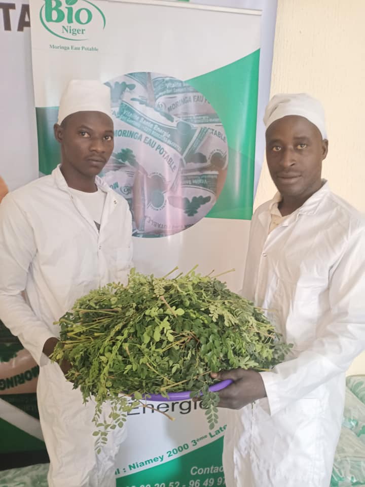 Bio Niger - Moringa Water Filter